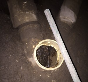 Collaroy Blocked Drain                           